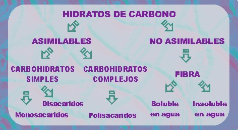 4 hidratos de carbono