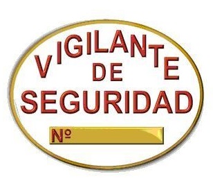 curso vigilante de seguridad 1